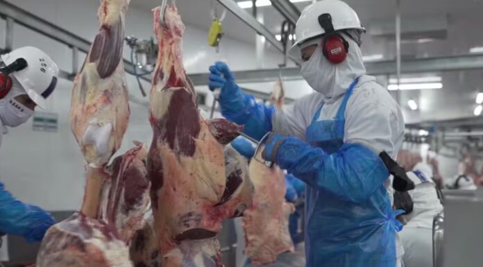 Programa abre oportunidade para organização de Cadeias Produtivas Locais na região de Pres. Prudente
