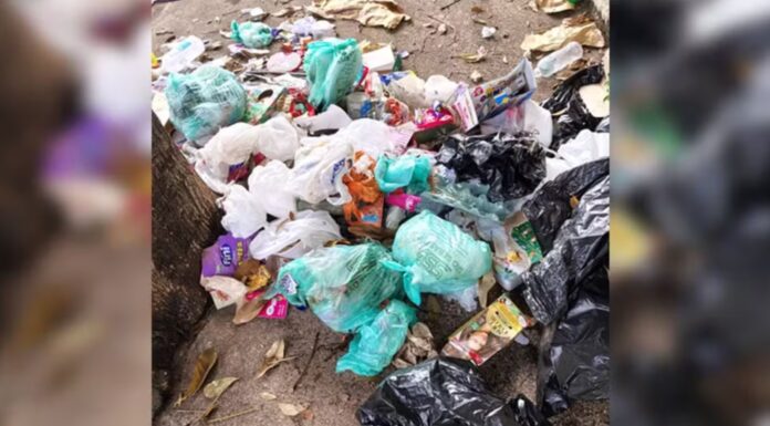 Prefeitura de Santa Cruz do Rio Pardo improvisa coleta de lixo com voluntários e apoio de empresas