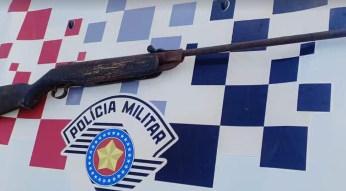 Com mandado de prisão, homem é detido e espingarda é apreendida em residência, em Panorama