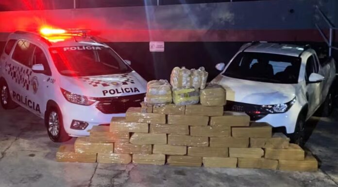Idoso é preso com mais de meia tonelada de drogas na Rodovia Assis Chateaubriand, em Pirapozinho