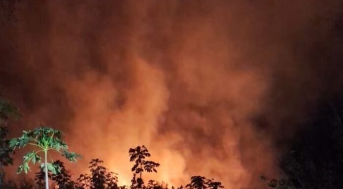 Incêndio de grandes proporções atinge quase 600m² de vegetação de terreno em Parapuã