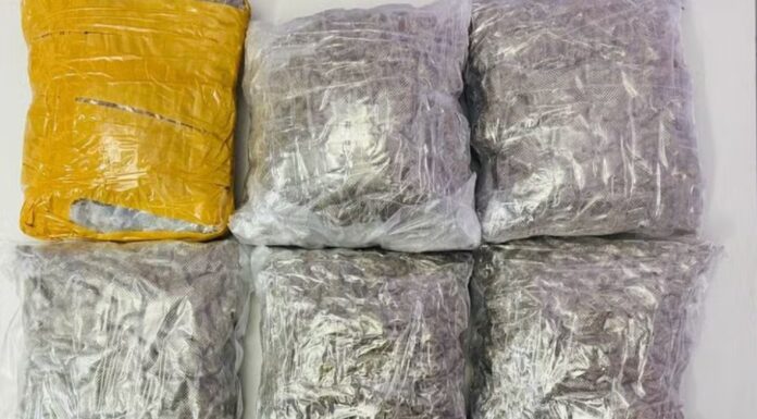 Ao esconder tabletes de skunk dentro de bagagens, jovem é preso por tráfico de drogas em Presidente Epitácio