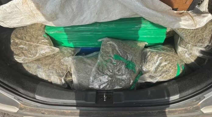 Polícia apreende mais de 200 quilos de maconha em rodovia de Bauru