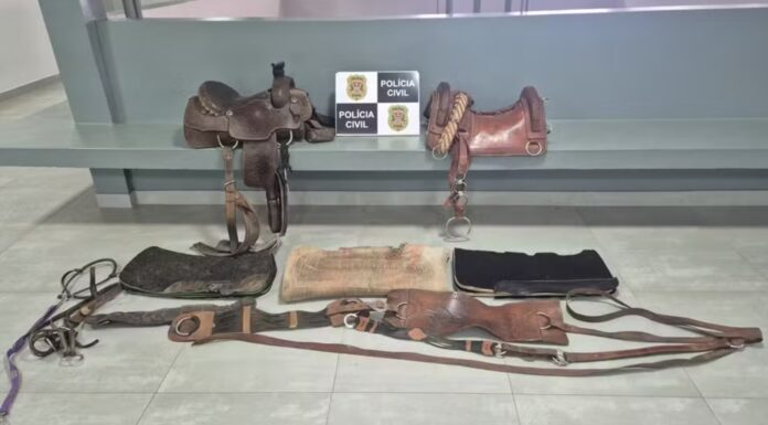 Após anúncios em redes sociais, investigações encontram em Pirapozinho itens de montaria furtados de fazenda no Paraná