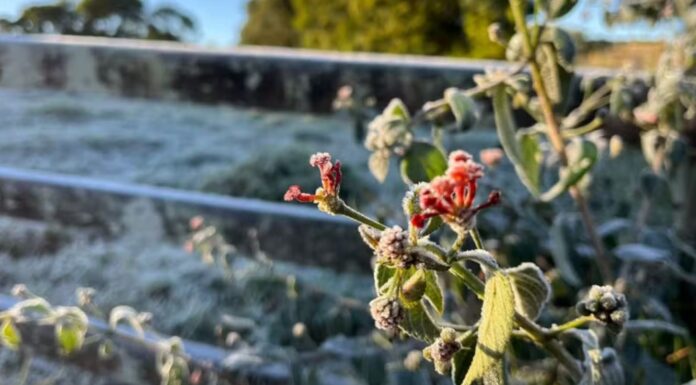 Defesa Civil emite alerta para queda de temperatura no Estado de SP