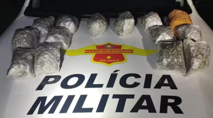 Jovem de 25 anos é presa após esconder pacotes de skunk dentro de mochila na Rodovia Raposo Tavares, em Presidente Prudente
