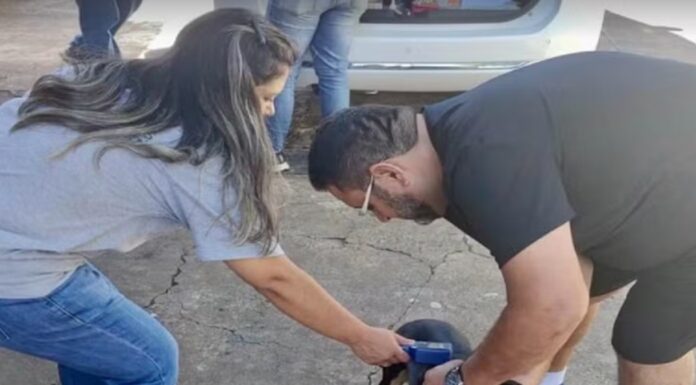 Programação da Semana Estadual de Prevenção à Leishmaniose começa nesta segunda-feira em Presidente Prudente