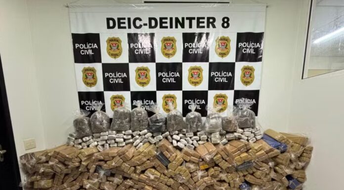 Motorista é preso em flagrante ao transportar mais de uma tonelada de maconha, em Pres. Epitácio