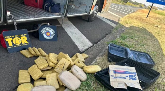 Boliviano é flagrado com tijolos de skank em bagagem e acaba preso na Rodovia Comandante João Ribeiro de Barros, em Osvaldo Cruz