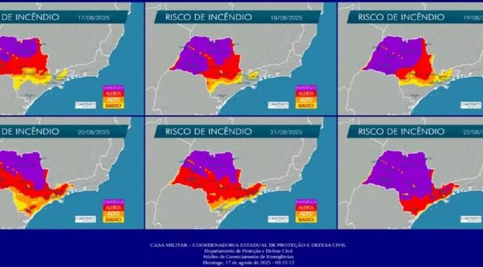 Com mais de 50 dias sem chuva, Defesa Civil emite alerta de incêndios florestais para a região de Presidente Prudente
