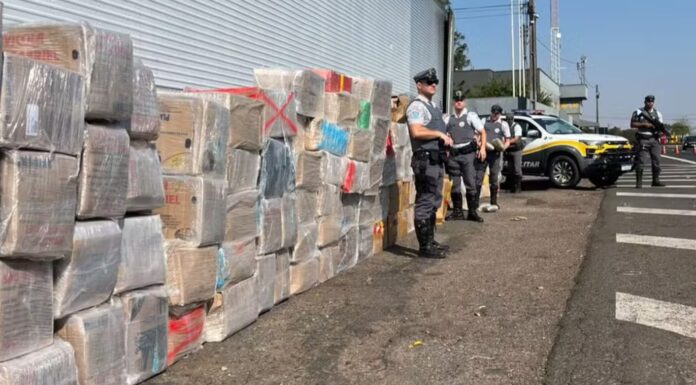 Operação policial apreende quase 5 toneladas de maconha transportadas em caminhão na SP-270