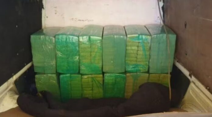 PRF apreende mais de 340 kg de maconha na BR-153 no interior de SP