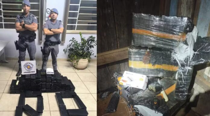Quase 120 kg de maconha são apreendidos em chácara abandonada em Presidente Prudente