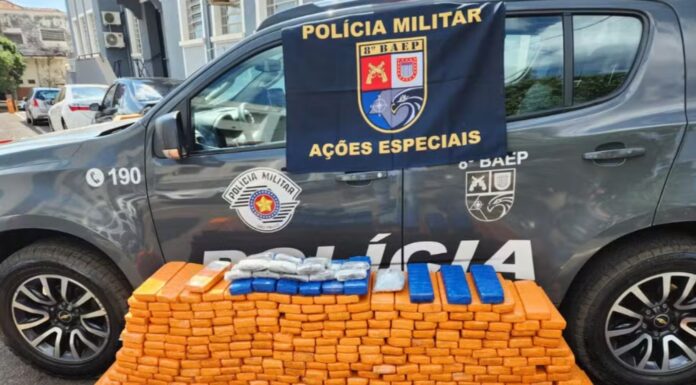 Motorista é preso ao transportar mais de 430 tijolos de maconha na SP-425, em Álvares Machado