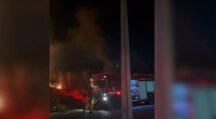 Homem é preso após ser filmado colocando fogo em área de mata seca: Defesa Civil alerta riscos