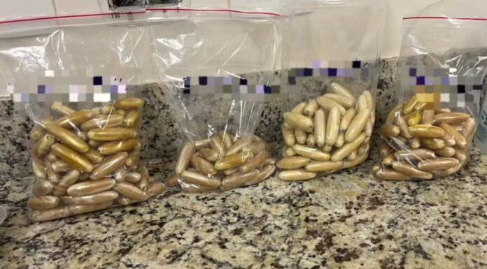 Bolivianos são presos com drogas no estômago durante fiscalização policial em Presidente Prudente