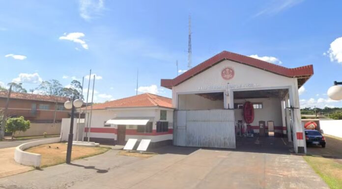 Homem morre ao ser atacado por abelhas e cair de altura de 4 metros enquanto trabalhava no interior de SP