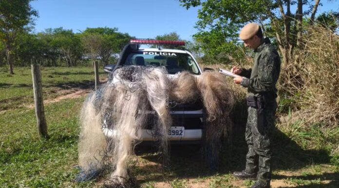Redes de pesca utilizadas irregularmente são apreendidas em Teodoro Sampaio