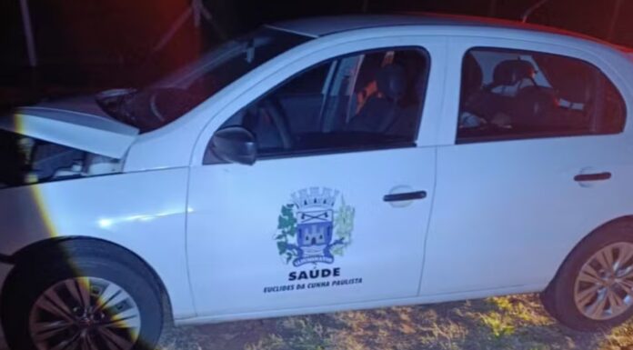 Anta é resgatada após ser atropelada por veículo de secretaria de saúde em rodovia no interior de SP