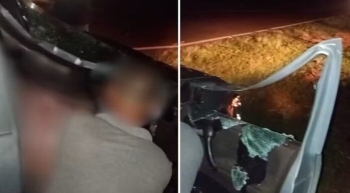 Carro bate em vaca solta na rodovia SP-613 e deixa dois feridos em Rosana