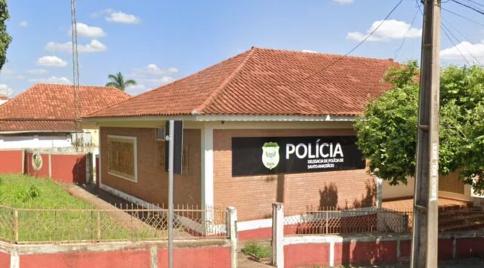Polícia investiga suspeita de maus-tratos em morte de 11 animais registrada em Santo Anastácio