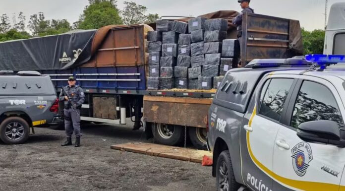 Homem é preso transportando 1,8 tonelada de maconha em rodovia do interior de SP