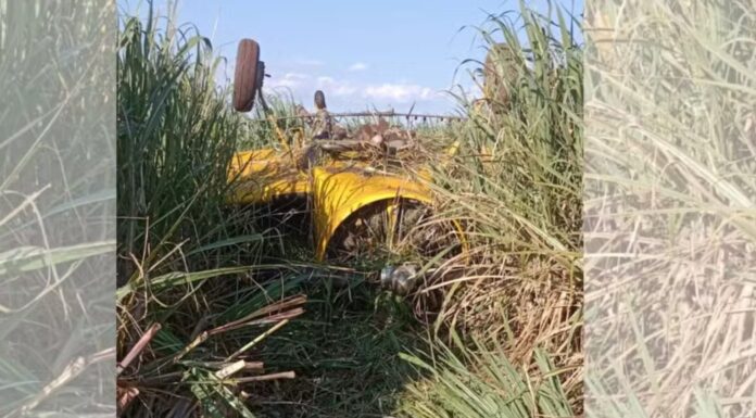 Avião agrícola cai em área rural e mata piloto no interior de SP