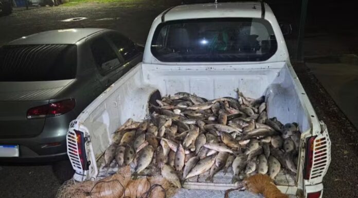 Polícia Ambiental apreende mais de 100 kg de peixes pescados ilegalmente durante a Piracema no interior de SP