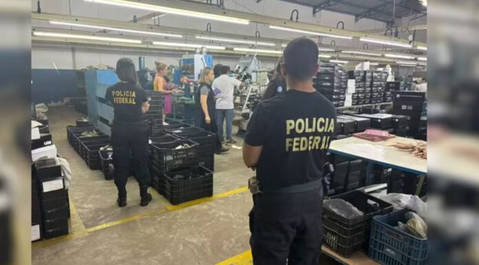 Fiscalização encontra mais de 100 adolescentes em situação de trabalho infantil em empresas no interior de SP