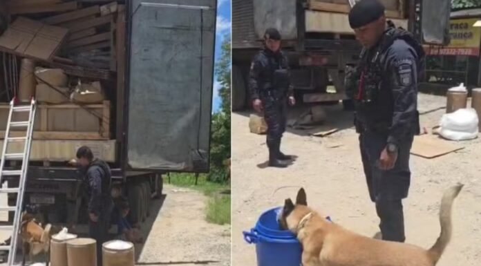 Mais de uma tonelada de drogas é apreendida em operações em Jarinu e Presidente Bernardes