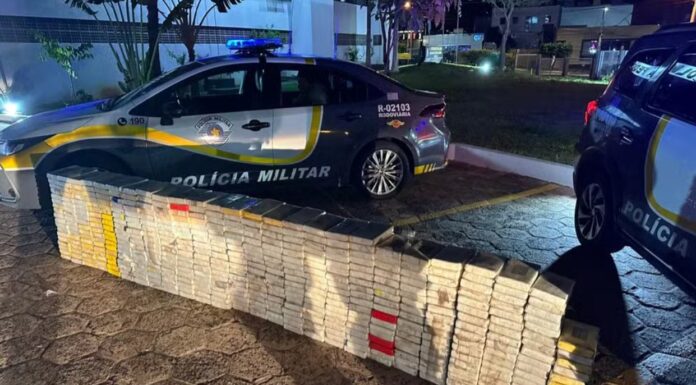 Meia tonelada de cocaína é apreendida em carga de extrato de tomate no interior de SP