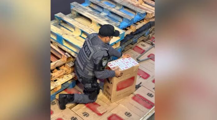 Apreensão de 350 mil maços de cigarros avaliados em R$ 1,7 milhão termina com prisão em rodovia do interior de SP