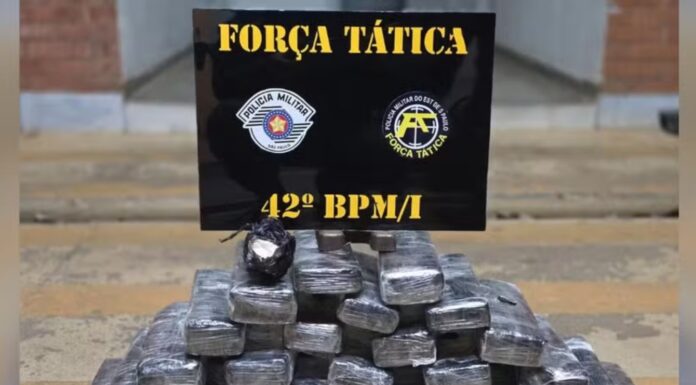 Jovem é preso por tráfico internacional de drogas ao ser abordado em ônibus no interior de SP
