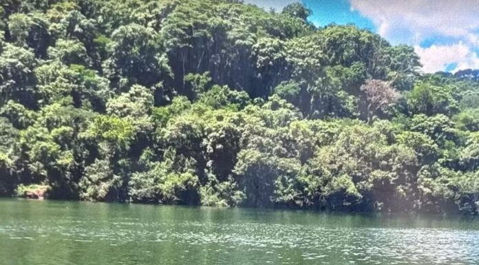 Corpo de homem é encontrado no rio Paranapanema após buscas em Ourinhos