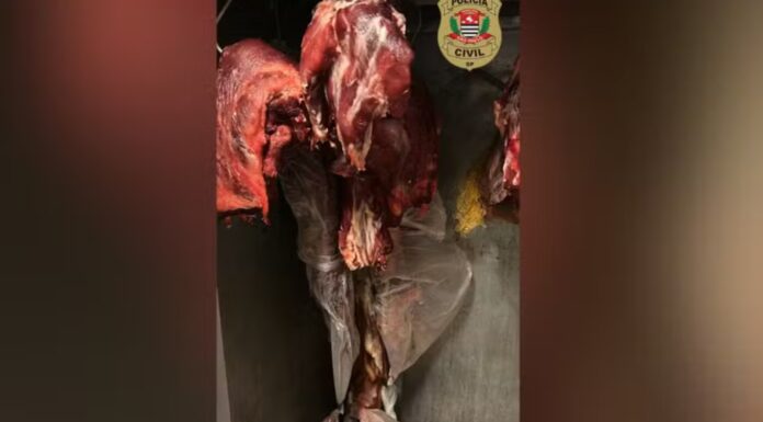 Comerciante é preso e carne imprópria para consumo é apreendida em açougue no interior de SP