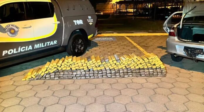 Operação policial apreende quase 300 quilos de maconha em rodovia do interior de SP