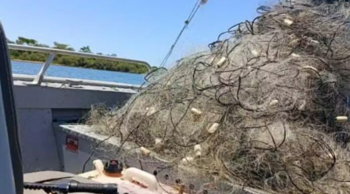 Polícia Ambiental apreende 4 km de redes de pesca irregulares em lago do interior de SP