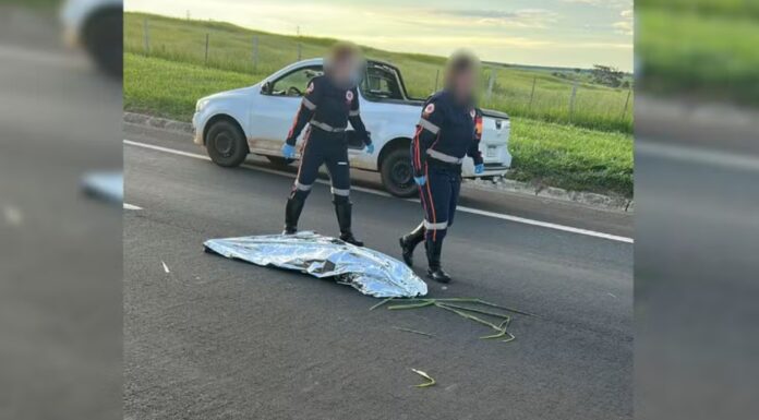 Mulher dada como morta por engano após atropelamento tem melhora e recebe alta da UTI em Bauru