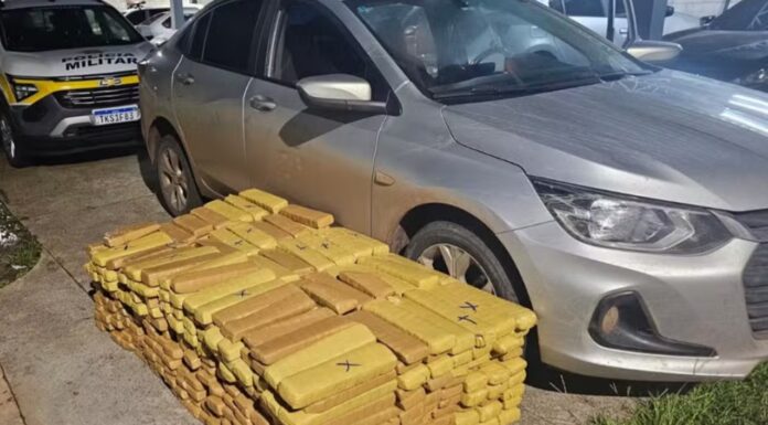Motorista é preso com mais de 500 tabletes de maconha em rodovia do interior de SP