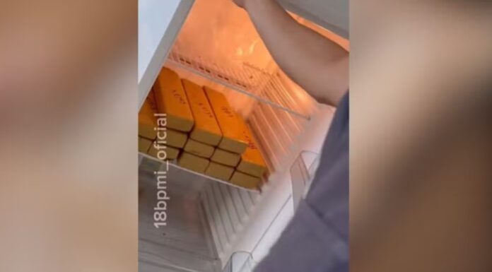 Vistoria em apartamento revela ‘estoque’ de maconha em geladeira e pistola municiada em Presidente Prudente