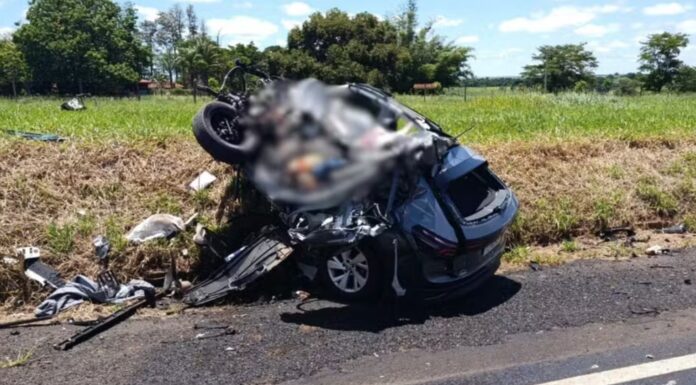 Motorista morre após bater em caminhão na BR-153 em Campos Novos Paulista