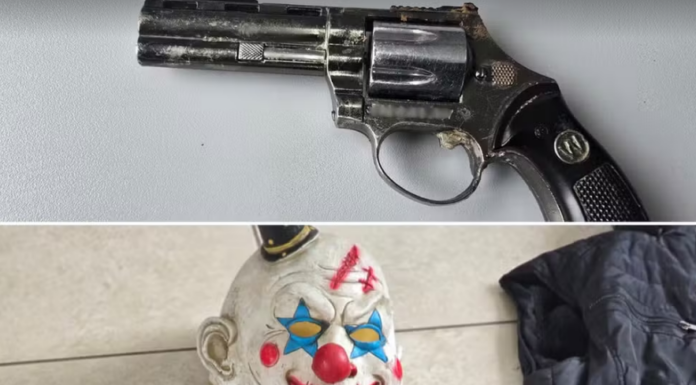 Polícia prende suspeitos de invadir casas e render famílias no Oeste Paulista