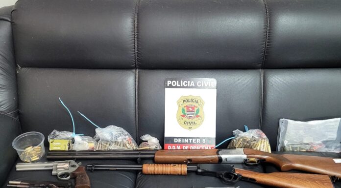 Polícia apreende seis armas na casa de homem investigado por violência doméstica em Dracena