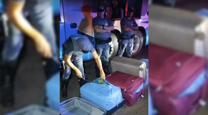 Boliviano é flagrado com mais de 90 kg de folhas de coca em ônibus no interior de SP