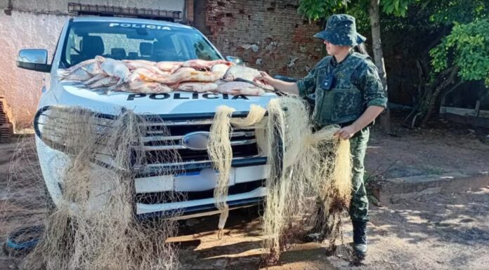 Polícia doa mais de 50 kg de peixes apreendidos para instituição de caridade em Dracena