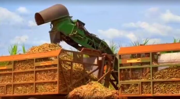 Guerra no Oriente Médio eleva custos dos insumos agrícolas e preocupa produtores do interior de SP