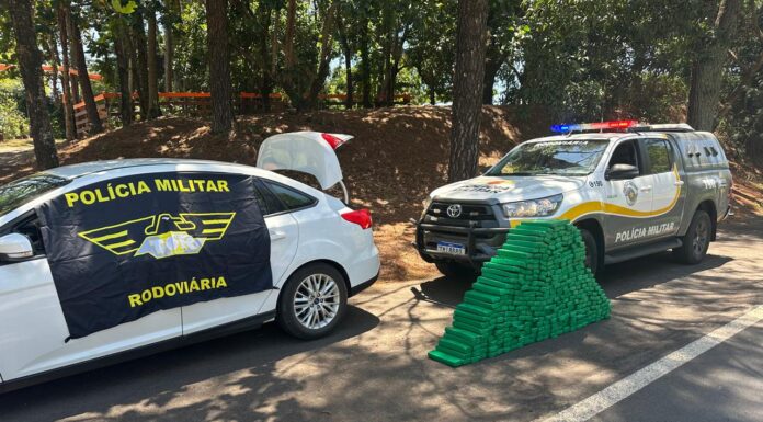 Motorista é preso suspeito de transportar mais de 260 kg de maconha em rodovia de Pirapozinho