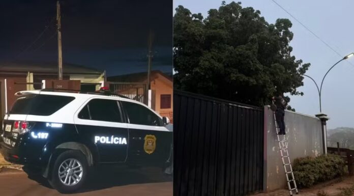 Operação que combate esquema de pirâmide financeira cumpre mandados em Pirapozinho