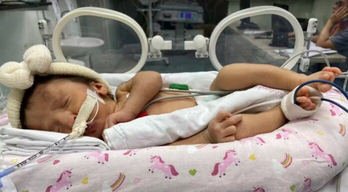 Bebê desenganada em 48h de vida terá alta de hospital após 7 meses internada: ‘Parecia um pesadelo’, diz mãe