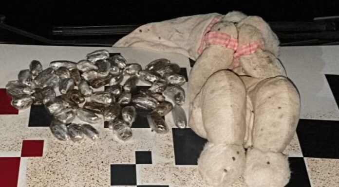 Crianças encontram urso de pelúcia ‘recheado’ com maconha em Dracena